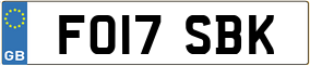 Trailer License Plate